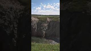 Preview trip to Bonavista travel youtubeshorts outdoors puffins foryou r [upl. by Dannon202]