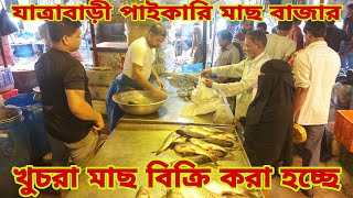 সামুদ্রিক দেশী এবং চাষের মাছের দাম জানুন  Fish Market amp Fish Prices 5 November 2024  My Life [upl. by Landan]