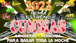 💞PURAS PERRONAS CUMBIAS 20222023 PARA BAILAR TODA LA NOCHE 🎧 TEPOZ QUINTANA MANAGERS NOVA Y MÁS [upl. by Ahsitruc]