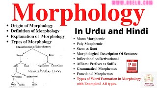 Morphology Word Formation In Morphology Morphological Analysis Sentence Types Of Morpheme PDF [upl. by Siegfried505]