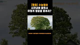 시간내에 풀기힘들어 미친영문법3시간 수능영어 [upl. by Neilson]