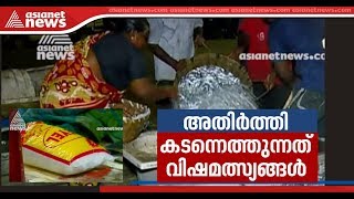 Exclusive Visuals Formalinlaced Fish Comes to Kerala from Tamil Nadu [upl. by Noryd]