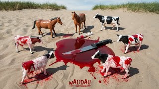 WADIDAU🐄🦍🐘🐪🐄🦄🦅 PROSES POTONG SAPIQURBAN SIMOLASI POTONGSAPI QURBANI IDUL IDHA COW VIDEO [upl. by Eeluj]