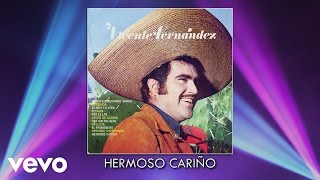 Vicente Fernández  Hermoso Cariño Audio [upl. by Dustin]