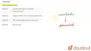 Centrosomes are  CLASS 12  CELL CYCLE AND CELL DIVISION  BIOLOGY  Doubtnut [upl. by Arreik]