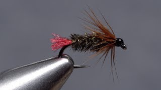 Red Tag Wet Fly [upl. by Aivatnohs]