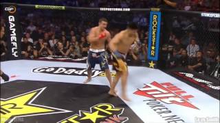 Best Roundhouse Kick UFC MMA Knockouts ever compilation 2015 HD [upl. by Schmitt]