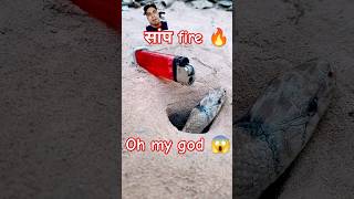 सांप कैसे पकड़ते हैं 🤣😂🤔new trick🤣😂🤔 snake easytrap reptiles fishing handtrap cobra funny [upl. by Peugia]