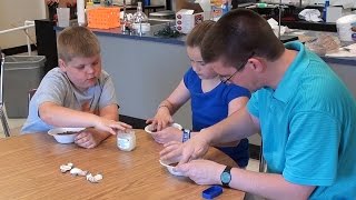 How to Make a Cast Fossil with Kids [upl. by Meneau]