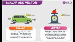 Grade 10 Physics Scalars and Vectors Revision [upl. by Galligan820]