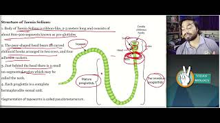 Taenia solium Structure and Life cycle [upl. by Junina]