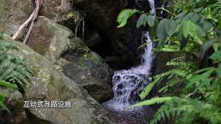 Resorts World Awana  Genting Nature Adventures CN ver [upl. by Derayne349]