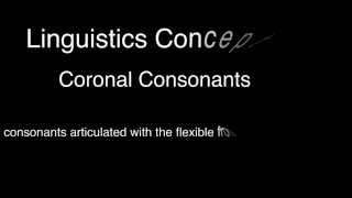 Linguistics Concept Beats  Coronal Consonants [upl. by Elimac]