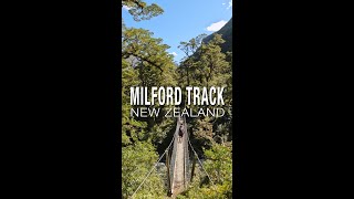 Hiking the Milford Track  New Zealands Great Walks [upl. by Acinej]