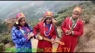 Santali Darjeeling Song [upl. by Eigram]