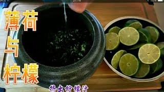 薄荷与柠檬完美结合的饮用和烹饪用 Lemon mint tea and lemon mint sauce [upl. by Aremmat]