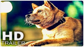 HACHIKO 2 SIEMPRE A TU LADO Tráiler Español Latino 2024 [upl. by Platus]