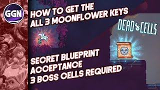 How to get the 3 Moonflower Keys and get the Acceptance Mutation  Secret Blueprint  Dead Cells [upl. by Vary12]