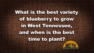 QampA  What is the best variety of blueberry to grow in West Tennessee When should I plant [upl. by Navinod]