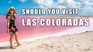 Day Trip to Las Coloradas Pink Lake amp Rio Lagartos in Mexico [upl. by Coffin]