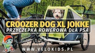 Croozer Dog XL przyczepka rowerowa dla psa [upl. by Calia]