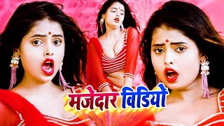 Live  भोजपुरी नॉनस्टॉप गाने 2024 Bhojpuri JukeBox Hit Song Bhojpuri Dj Song  Bhojpuri Song 2024 [upl. by Hsejar]