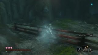 Sekiro Shadows Die Twice  Finding Precious Bait in Guardian Apes Watering Hole [upl. by Eizzo]