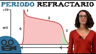 Qué es el periodo refractario y tipos [upl. by Ajnotal]