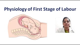 How You Can Check Your Cervix At Home  Best Ways to Know the Dilation of Cervix [upl. by Krause836]