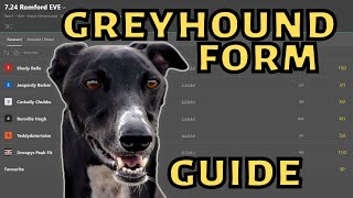 GREYHOUND BETTING  How to read Greyhound form [upl. by Anileba671]