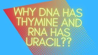 Why DNA has thymine and RNA has uracil [upl. by Ivon]