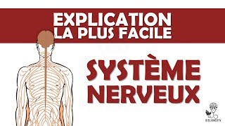 lexplication la plus facile  le Système Nerveux [upl. by Aihsilef]