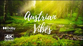 4k Sleep Music Relaxing Music Ambience☀️ Sunny Peaceful River Stream in Lush Green Austrian Forest [upl. by Grory]