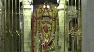 Mantralayam Sri Srinivasa celebrations Kalyanotsavam In Kurnool TV5 [upl. by Ahsienom]