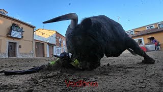 Traspinedo 2024 Toros de cajon 9 112º [upl. by Yoral]