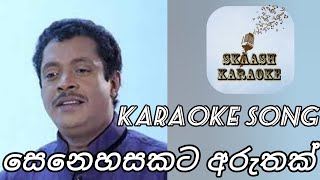 සෙනෙහසකට අරුතක් පුරවන්නට  Sinhala Karaoke Song without voice  Asanka Priyamantha [upl. by Regnij]