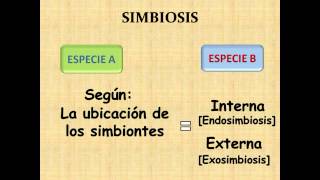 PARASITOLOGIA  PARASITISMO Y OTRAS ASOCIACIONES BIOLOGICAS [upl. by Bissell]