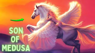 Pegasus Beautiful child of Medusa  Greek Mythology  Mythologically Accurate [upl. by Rakia180]