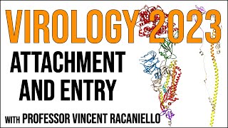 Virology Lectures 2023 5 Attachment and Entry [upl. by Atinas676]