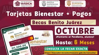 Coordinación Nacional de Becas tiene información de Beca revisa tu correo y Buscador de Estatus [upl. by Rauch]