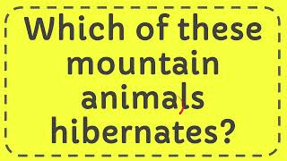 Which of these mountain animals hibernates [upl. by Ettelohcin]