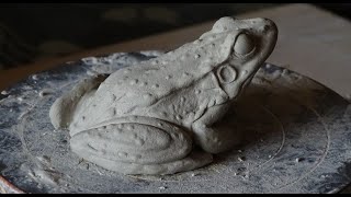 Sculpting an edible frog  Pelophylax esculentus [upl. by Dom327]