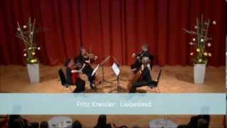 Fritz Kreisler Liebesleid  Nexus Quartett Wien [upl. by Ytteb]