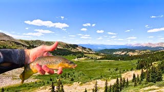 Fly Fishing One Of The Best Spring Creeks in Colorado [upl. by Ylahtan]