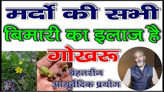 गोखरू पुरुषों के लिए वरदान है  Benefits of Gokharu [upl. by Yasmar]