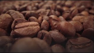 How to Decaffeinate Coffee Coffee Decaffeination Processes [upl. by Beverly]