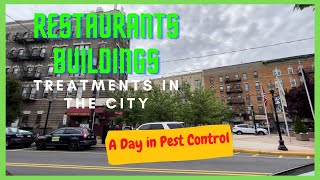 Doing Pest Control in a City environment Restaurants and Buildings Jun 14 [upl. by Llenehc118]