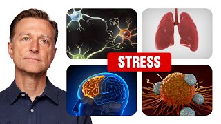 How Worry and Stress Affects You at the Cellular Level [upl. by Yreva]