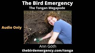 086 Tongan Megapode with Ann Goth [upl. by Harimas143]