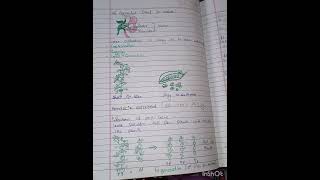 class 12th biology chapter 4 principle of inheritance and mutation variation [upl. by Hareehat]